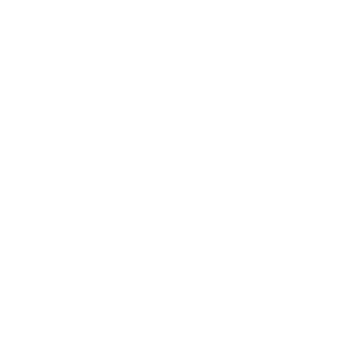 Icône cadenas pour la confidentialité